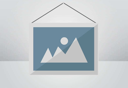 科學養(yǎng)豬之基礎知識